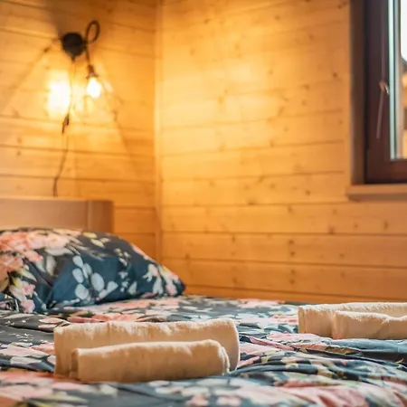 Wielewska Ostoja Appartement *